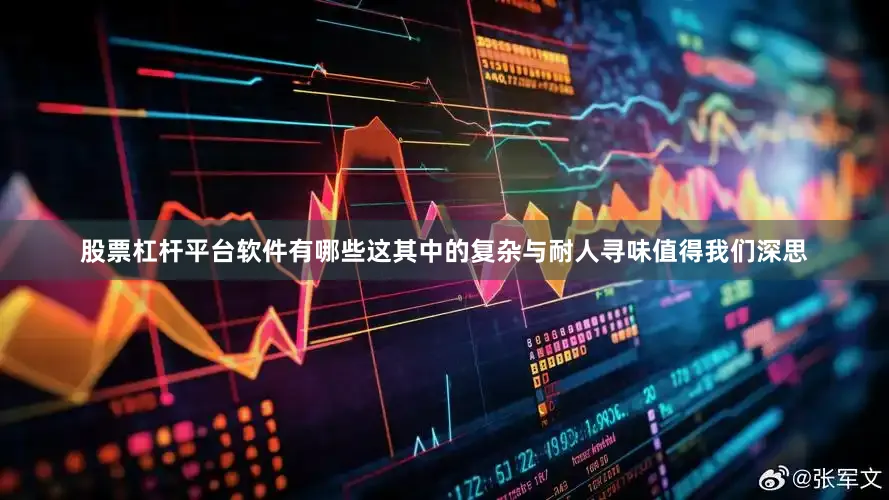 股票杠杆平台软件有哪些这其中的复杂与耐人寻味值得我们深思