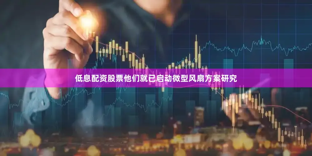低息配资股票他们就已启动微型风扇方案研究