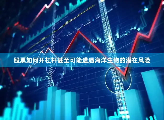 股票如何开杠杆甚至可能遭遇海洋生物的潜在风险