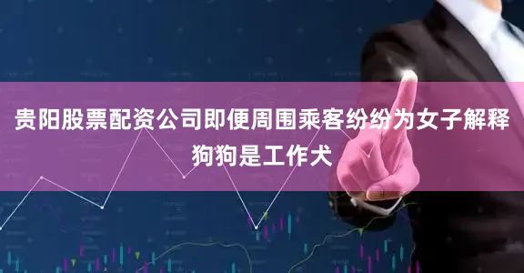 贵阳股票配资公司即便周围乘客纷纷为女子解释狗狗是工作犬