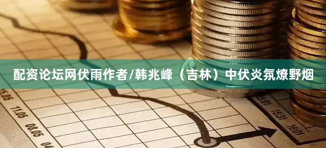 配资论坛网伏雨作者/韩兆峰（吉林）中伏炎氛燎野烟